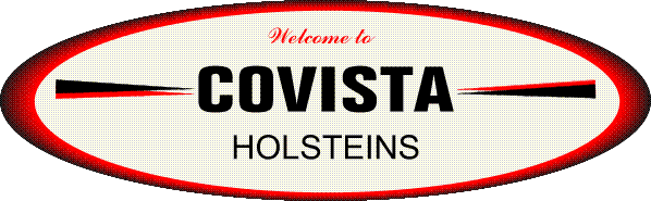 Welcome to Covista Holsteins Web Site!